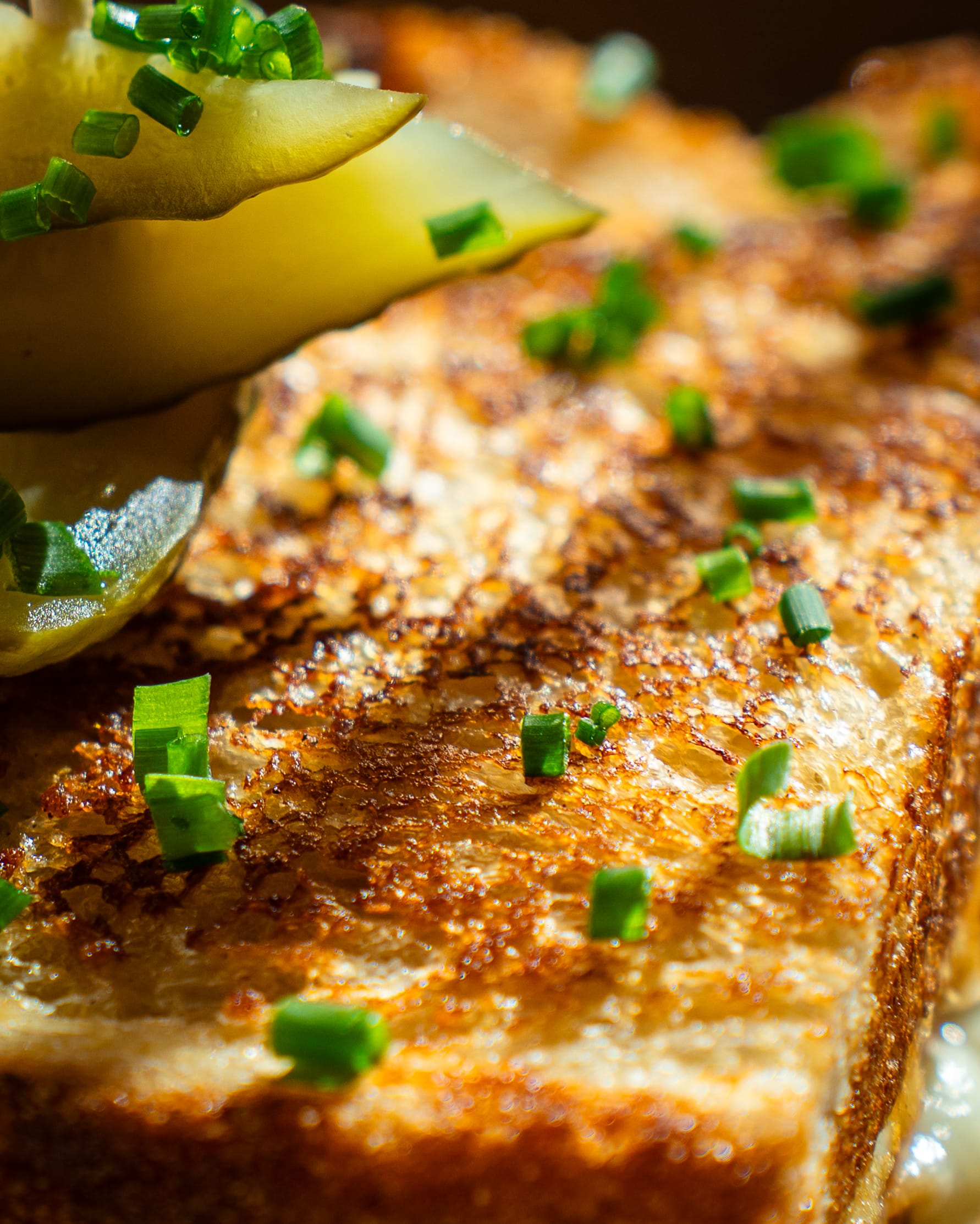 Grilled cheese, close-up