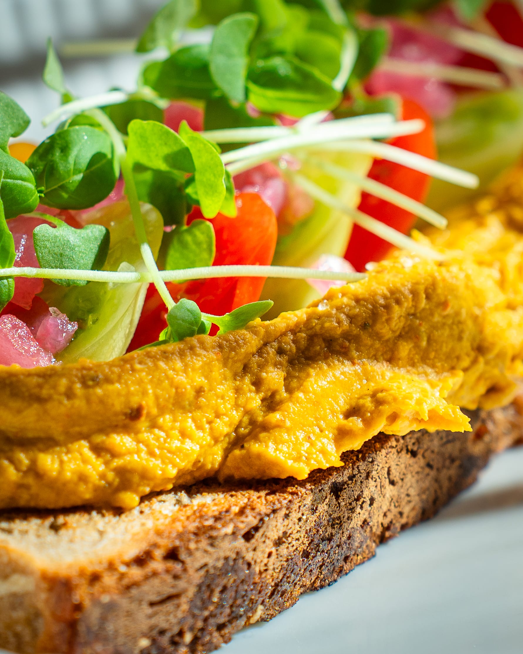Open sandwich with pumpkin spread and sprouts